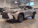 Thumbnail image of 2025 Lexus NX 350 at Ray Catena Lexus Monmouth