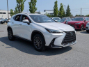 Thumbnail image of 2024 Lexus NX 350 at LenStolerLexusofTowson-Used of Towson, MD