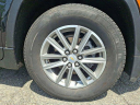 Thumbnail image of 2023 Chevrolet Traverse at Schumacher Chevrolet of Livingston - Used