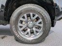 Thumbnail image of 2023 Toyota Tacoma at Toyota of Melbourne