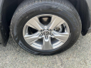 Thumbnail image of 2022 Toyota RAV4 at PaulMillerToyota NEW