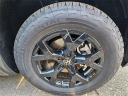 Thumbnail image of 2025 Volkswagen Atlas at LaFontaine Volkswagen of Dearborn