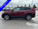 Thumbnail image of 2018 Honda CR-V at Burt Watson Chevrolet of Freeland