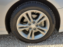 Thumbnail image of 2019 Hyundai SONATA at The Garage