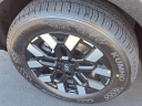 Thumbnail image of 2025 Hyundai SANTA CRUZ at Bob Brady Auto Mall