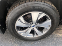 Thumbnail image of 2019 Subaru Ascent at CERTIFIED AUTO EXCHANGE
