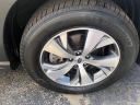 Thumbnail image of 2019 Subaru Ascent at CERTIFIED AUTO EXCHANGE