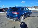 Thumbnail image of 2020 Ford Escape at Link Ford Minong