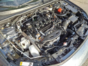 Thumbnail image of 2024 Honda Civic at Honda Of Toms River
