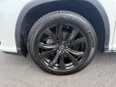Thumbnail image of 2019 Lexus RX 350L at Clayton Motors Inc.