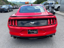 Thumbnail image of 2023 Ford Mustang at Cumberland Ford Lincoln