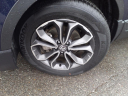 Thumbnail image of 2022 Honda CR-V at Gallatin Honda