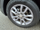 Thumbnail image of 2023 GMC Terrain at Lou Fusz Chrysler Dodge Jeep Ram