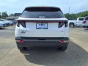 Thumbnail image of 2023 Hyundai TUCSON at Triple M Motors