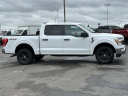 Thumbnail image of 2022 Ford F-150 at Lasco Ford