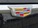 Thumbnail image of 2019 Cadillac Escalade at Milnes Chevrolet, Inc.