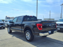 Thumbnail image of 2023 Ford F-150 at Legacy Ford