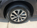 Thumbnail image of 2023 Subaru Outback at PremierSubaruWatertown NEW