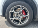 Thumbnail image of 2022 Alfa Romeo Stelvio at LandmarkAthensDCJR-Used of Athens, GA