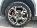 Thumbnail image of 2022 Alfa Romeo Stelvio at LandmarkAthensDCJR-Used of Athens, GA