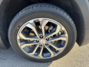 Thumbnail image of 2019 GMC Terrain at Wagner Chevrolet Buick