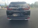 Thumbnail image of 2022 Honda CR-V at Faulkner Honda Used