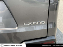 Thumbnail image of 2023 Lexus LX 600 at Stoler Lexus