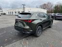 Thumbnail image of 2025 Lexus NX 350h at Lexus of Smithtown