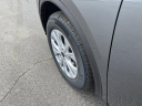 Thumbnail image of 2025 Ford Escape at MtOrabFord NEW