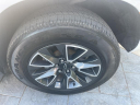 Thumbnail image of 2022 Chevrolet Suburban at 5 Star Chevrolet