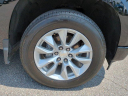 Thumbnail image of 2023 Chevrolet Silverado 1500 at GaryYeomansUsedCarSuperCenter of Daytona Beach, FL