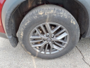 Thumbnail image of 2023 Nissan Rogue at Nissan 46