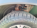 Thumbnail image of 2026 Honda Passport at Cawood Honda