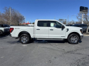 Thumbnail image of 2024 Ford F-150 at Dana Ford Lincoln