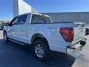 Thumbnail image of 2024 Ford F-150 at Dana Ford Lincoln