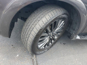 Thumbnail image of 2023 INFINITI QX80 at Lee Buick GMC [New]