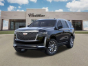 Thumbnail image of 2024 Cadillac Escalade at Cavender Cadillac - New