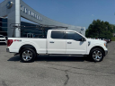 Thumbnail image of 2021 Ford F-150 at Ted Russell Ford Lincoln