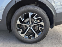 Thumbnail image of 2024 Kia Sportage at Arrigo Chrysler Dodge Jeep Ram at Sawgrass