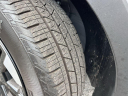 Thumbnail image of 2025 Kia Sorento at Regal Automotive (Kia Chevy)