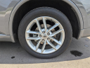 Thumbnail image of 2022 Dodge Durango at Arrigo Chrysler Dodge Jeep Ram at Sawgrass