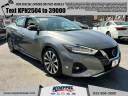 Thumbnail image of 2019 Nissan Maxima at Koeppel Nissan