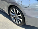 Thumbnail image of 2019 Nissan Maxima at Koeppel Nissan