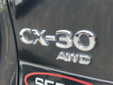Thumbnail image of 2020 Mazda CX-30 at Serra Honda Brighton