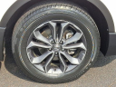 Thumbnail image of 2022 Honda CR-V at J L Freed Honda (Used)