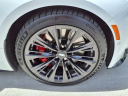Thumbnail image of 2024 Cadillac CT5-V at Ed Morse Cadillac Tampa