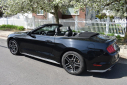 Thumbnail image of 2022 Ford Mustang at Certified Performance Motors