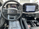 Thumbnail image of 2023 Ford F-150 at McLarty Ford