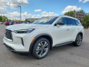 Thumbnail image of 2025 INFINITI QX60 at Infiniti of Willow Grove NF