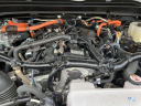 Thumbnail image of 2025 Toyota Tacoma at Cavender Toyota